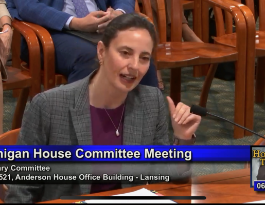 Nicole Shannon at Michigan House Committee Meeting