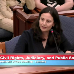 Nicole Shannon - in front of the Michigan Senate Committee on Civil Rights, Judiciary, and Public Safety